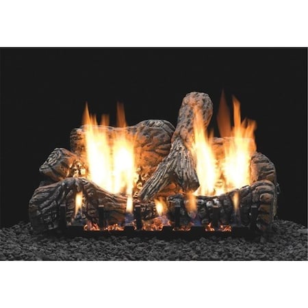 Mobiliario 18 in. IP Slope Glaze Natural Gas Burner with T-Stat Remote Control - Burner Only MO2935800